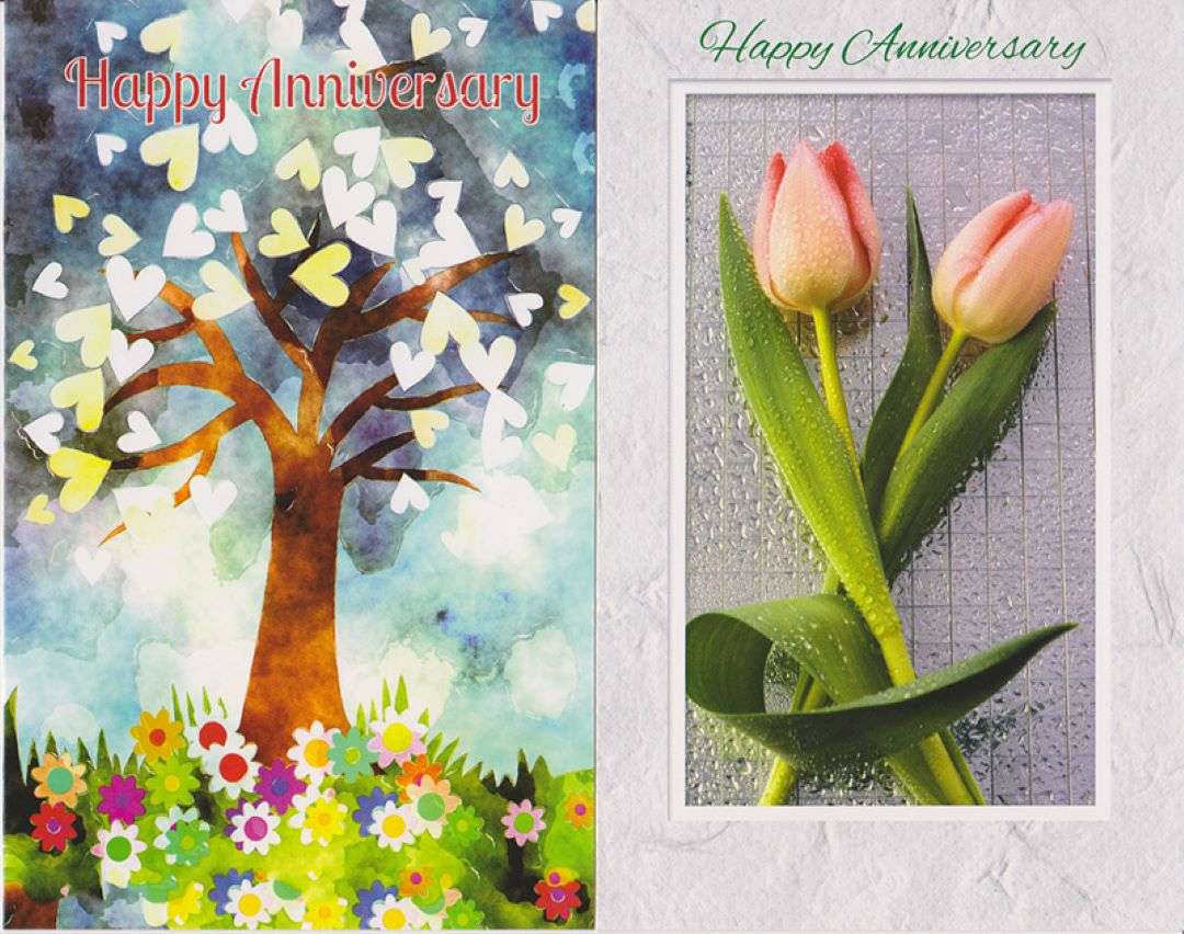 2342445 Anniversary Cards - Assorted, 5x7.75 case of 144