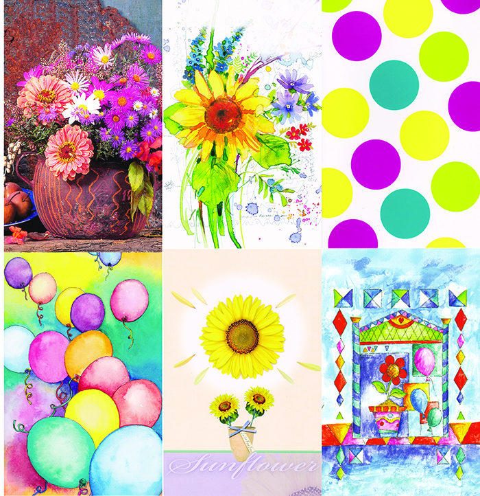 2342448 Blank Greeting Cards - Assorted, 5x7.75 case of 144