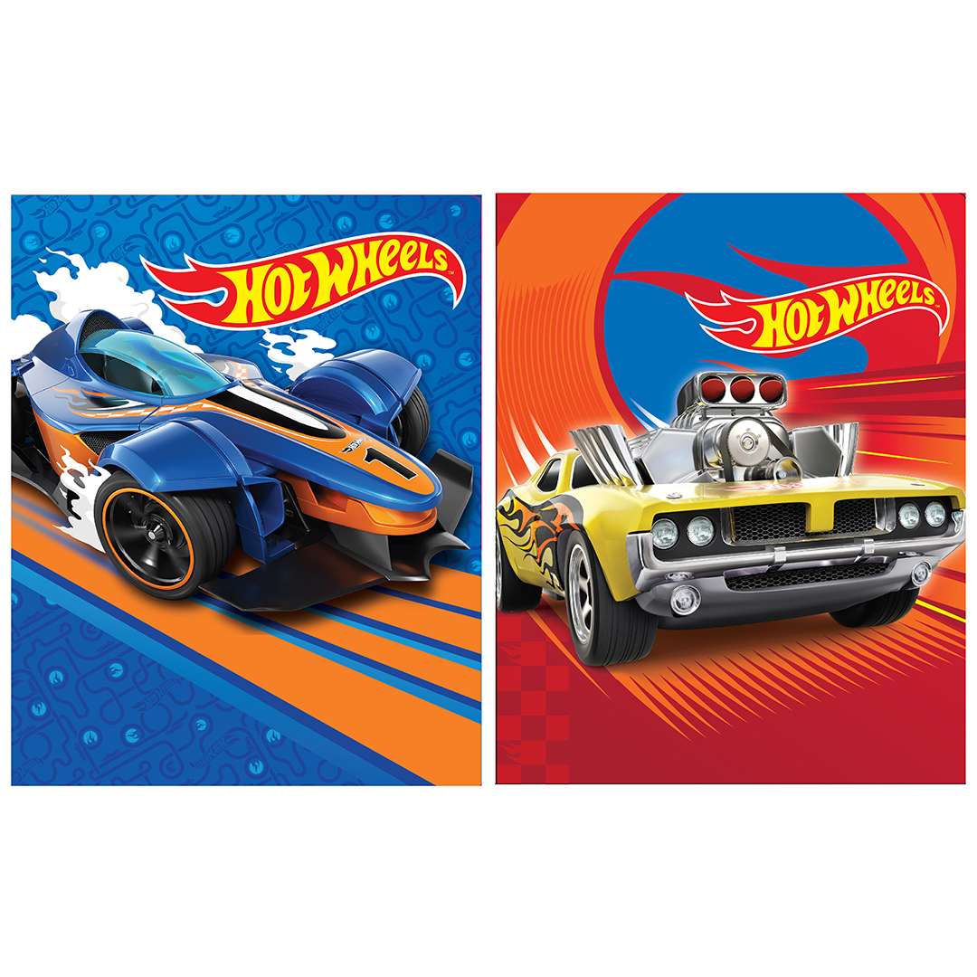 2376923 Hot Wheels Portfolios - Assorted case of 24