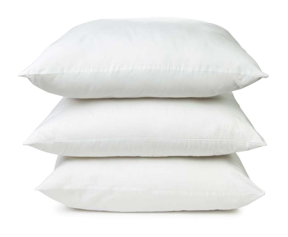 2379902 Golden Dream Pillows, Queen case of 10