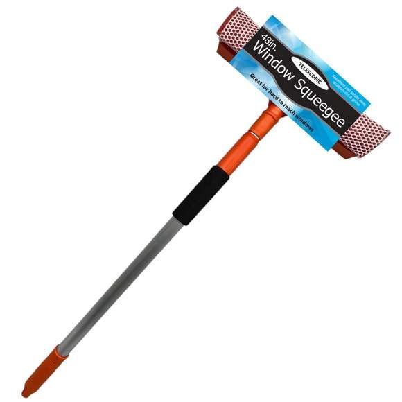 DollarDays 2387637 9.5 in. Window Squeegees - Case of 12