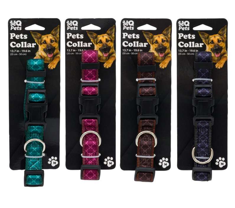 2388909 Pet Collar - Medium, Assorted Color - Pack of 48