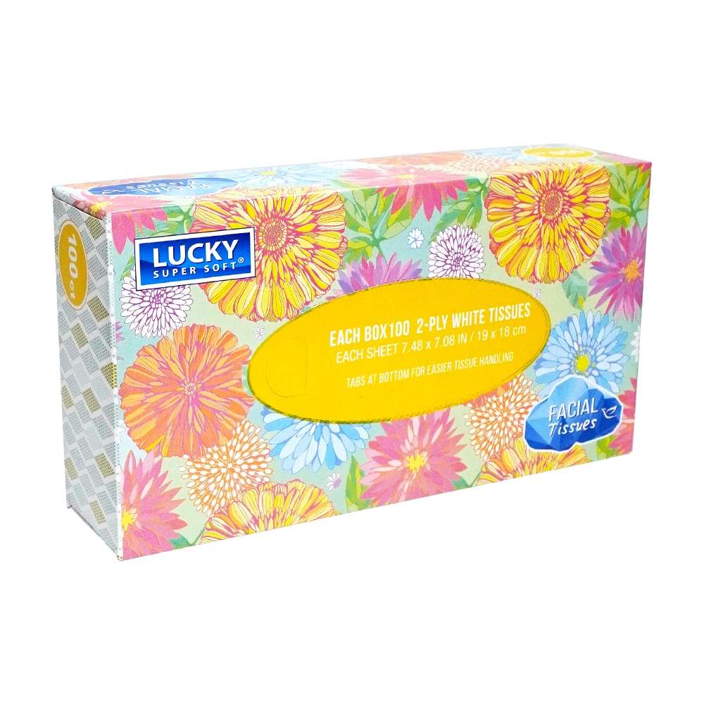 DollarDays 2389963 Facial Tissues - 100 Count - Case of 12