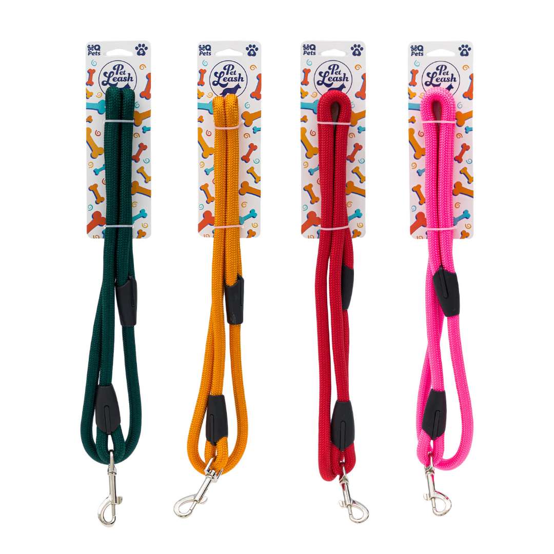 DollarDays 2390219 Small Pet Leashes, Assorted Color - Pack of 48