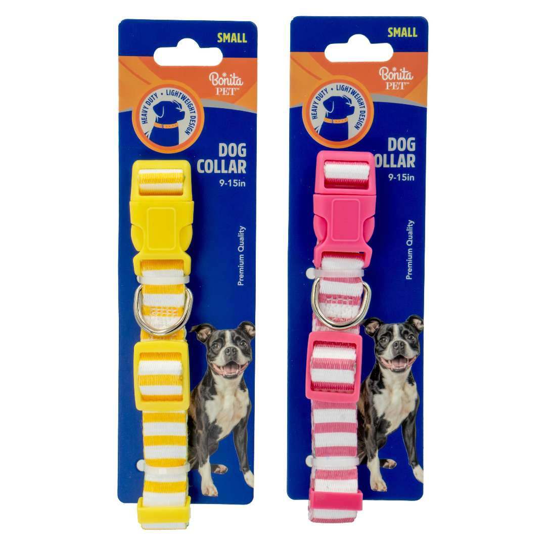 DollarDays 2390390 Striped Dog Collars, Assorted Color - Small - Pack of 96