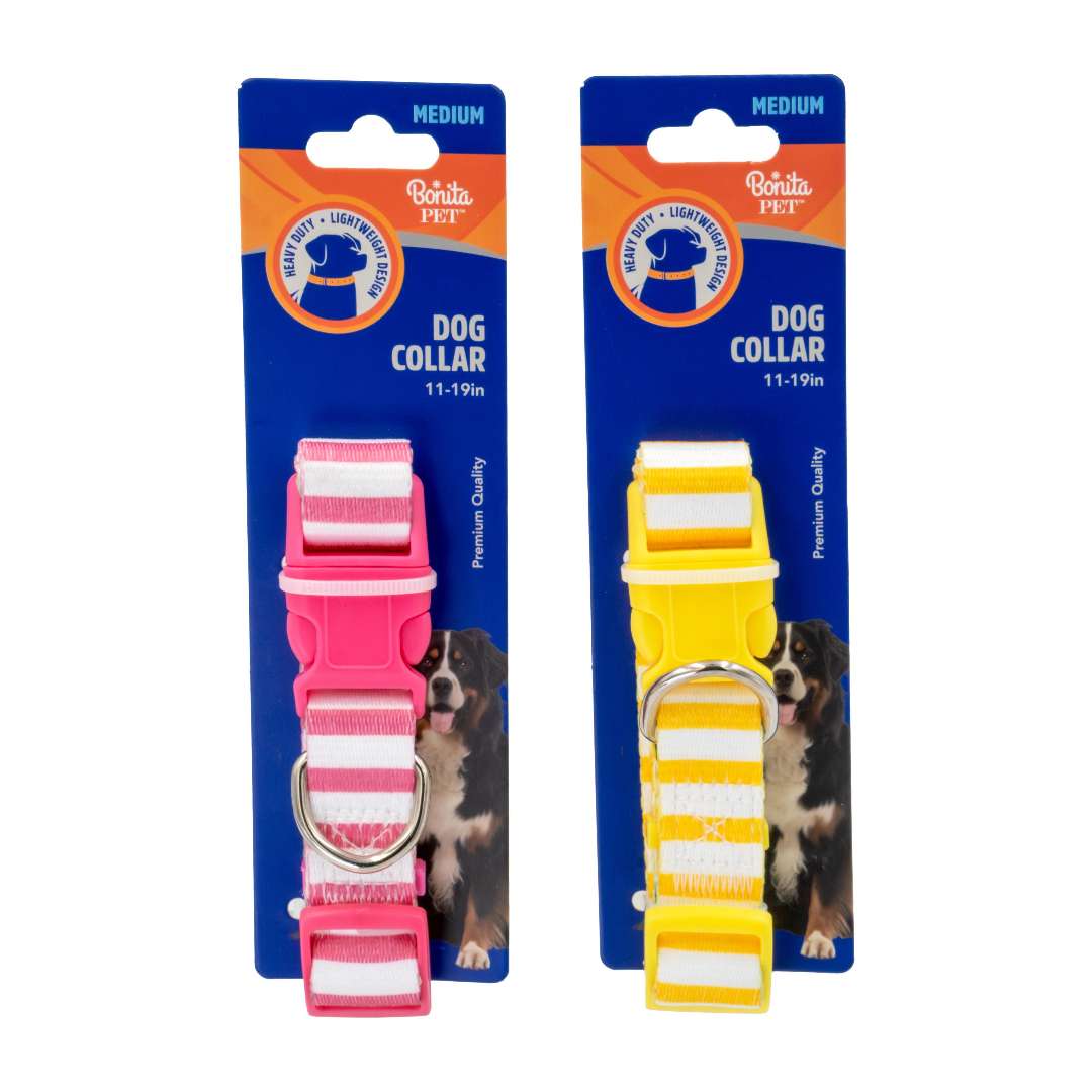 DollarDays 2390391 Striped Dog Collars, Assorted Color - Medium - Pack of 96