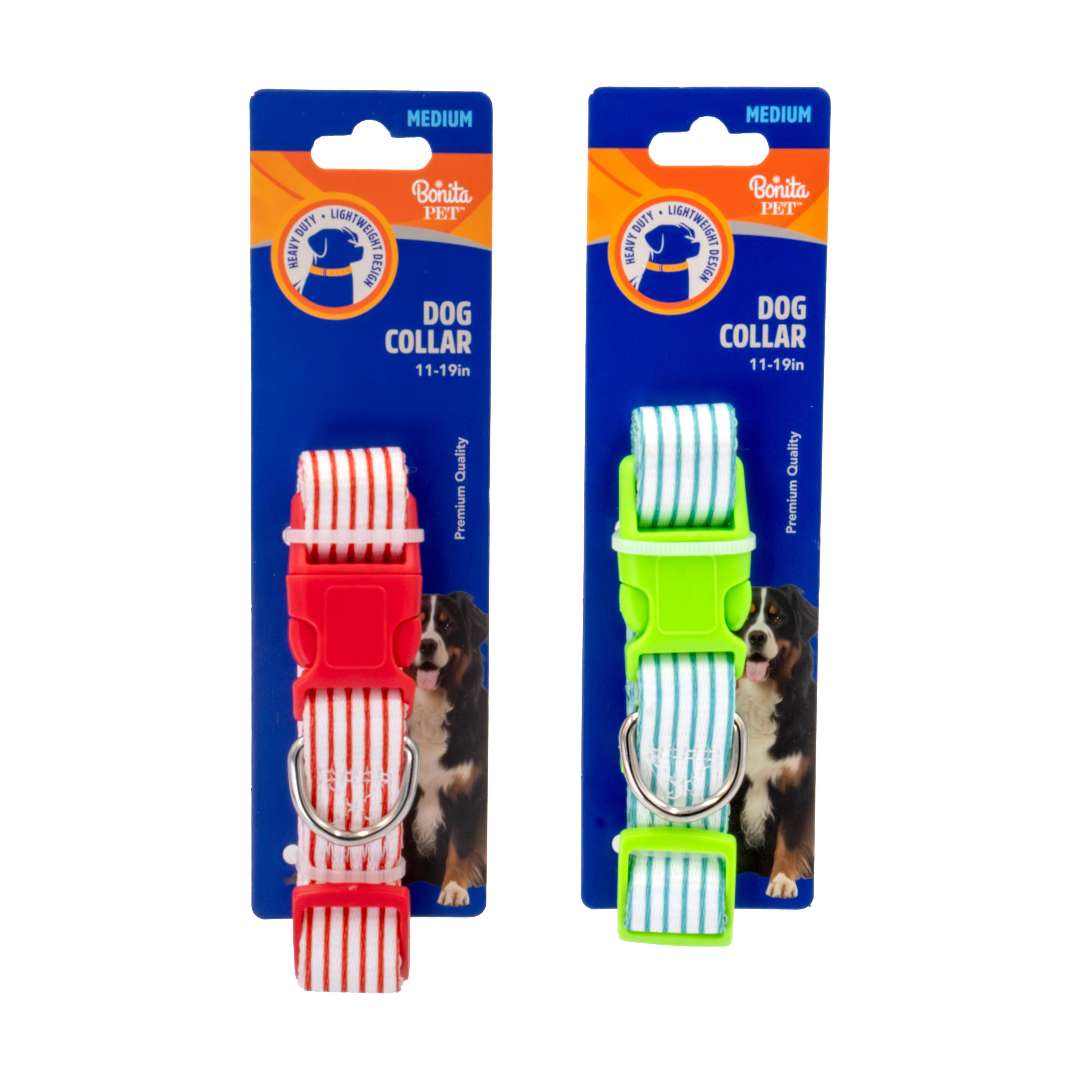 DollarDays 2390396 Pinstripe Dog Collars, Assorted Color - Medium - Pack of 96