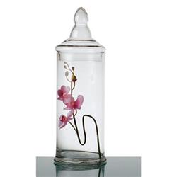 Picture of Diamond Star 83065 19 x 6 in. Glass Jar with Lid, Clear