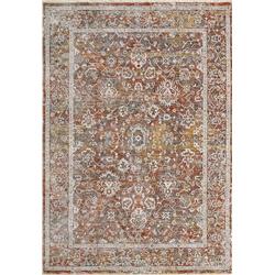 SY466713699 4 ft. x 5 ft. 5 in. Skyler Rectangle Area Rug, Copper & Multi Color