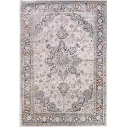 OT10143955959 9 ft. 2 in. x 12 ft. Astro Oriental Rectangle Area Rug, Grey, Blue & Multi Color