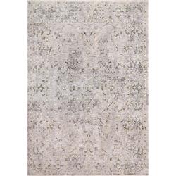 SY246711999 2 ft. 3 in. x 3 ft. 11 in. Skyler Transitional Rectangle Area Rug, Grey & Multi Color