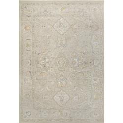 HU691450800 5.3 x 7.7 ft. Hudson Traditional & Classic Machine Made Rectangle Area Rug, Beige