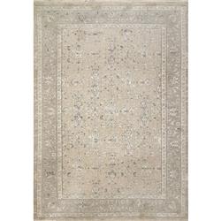 HU691451890 5.3 x 7.7 ft. Hudson Traditional & Classic Machine Made Rectangle Area Rug, Beige & Grey