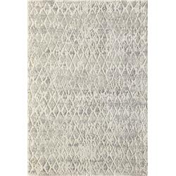 Picture of Dynamic Rugs QU4627039111 3 ft. 11 in. x 5 ft. 7 in. Quartz 27039 Rectangle Traditional Area Rug - 111 Ivory & Silver