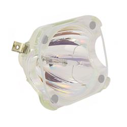Picture of Dynamic Lamps 104002 Samsung BP96-00608A Bare TV Lamp