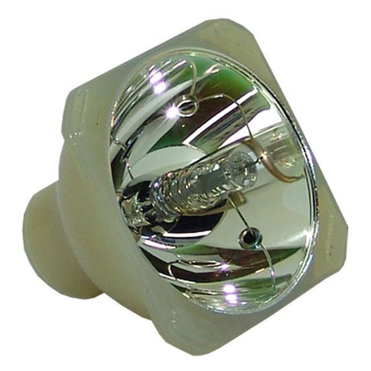DYNAMIC LAMPS