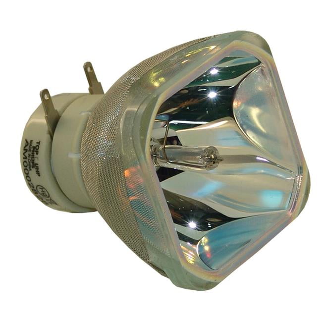 Dynamic Lamps 52343-BOP