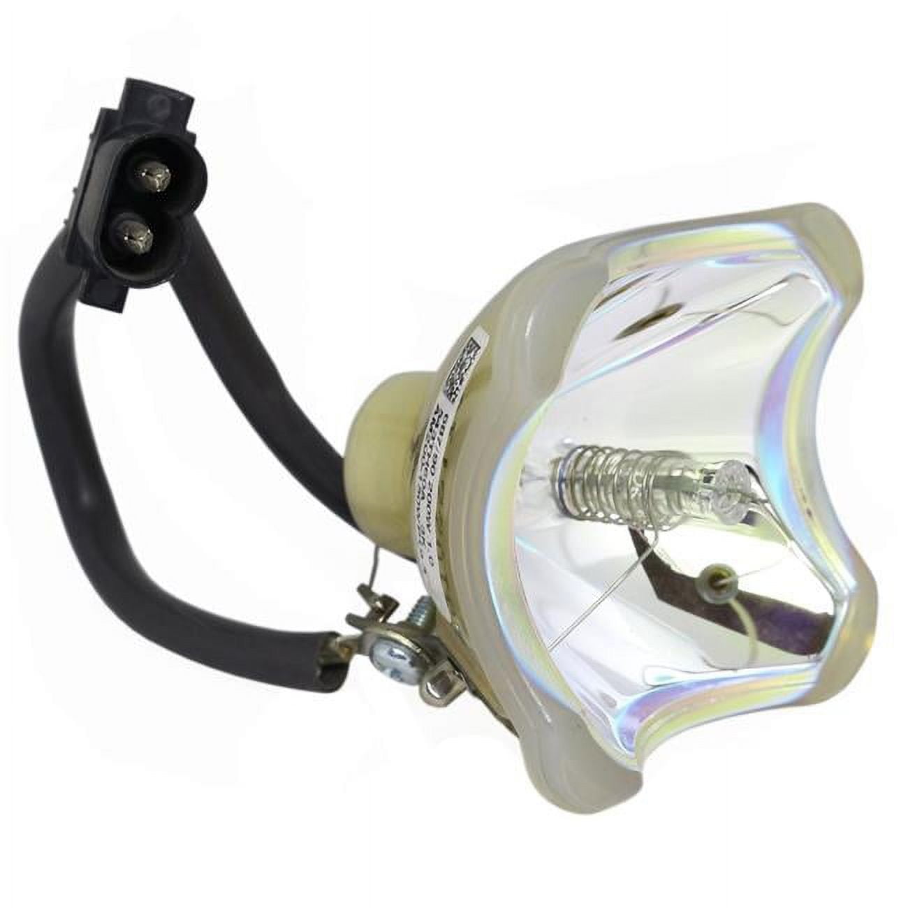 DYNAMIC LAMPS