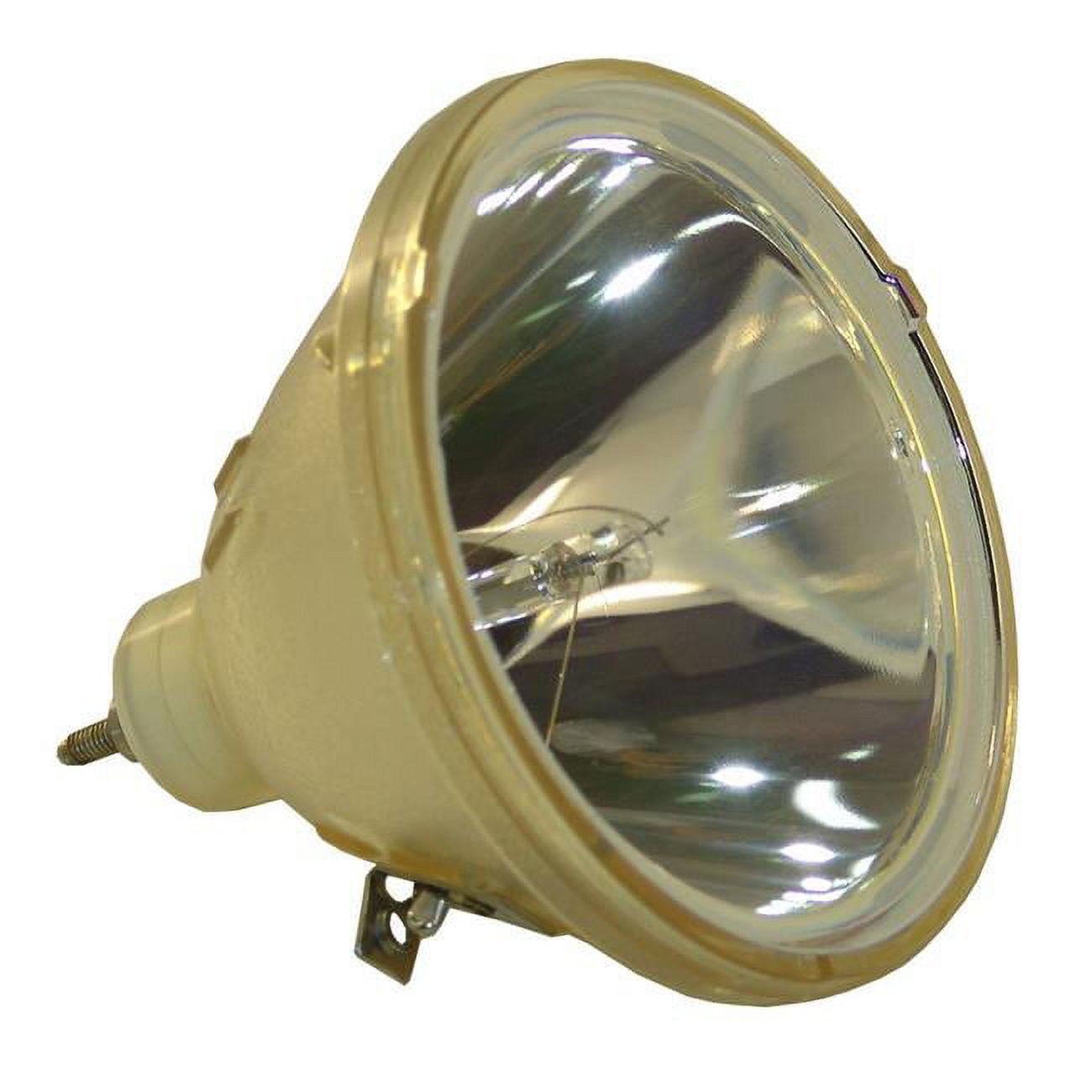 Dynamic Lamps 51883-BOP