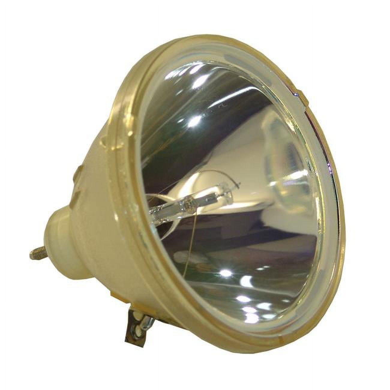 Dynamic Lamps 51894-BOP