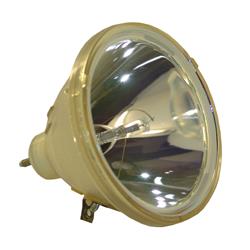 Picture of Dynamic Lamps 51896-BOP Sharp BQC-XGP20X-1 Philips Projector Bare Lamp