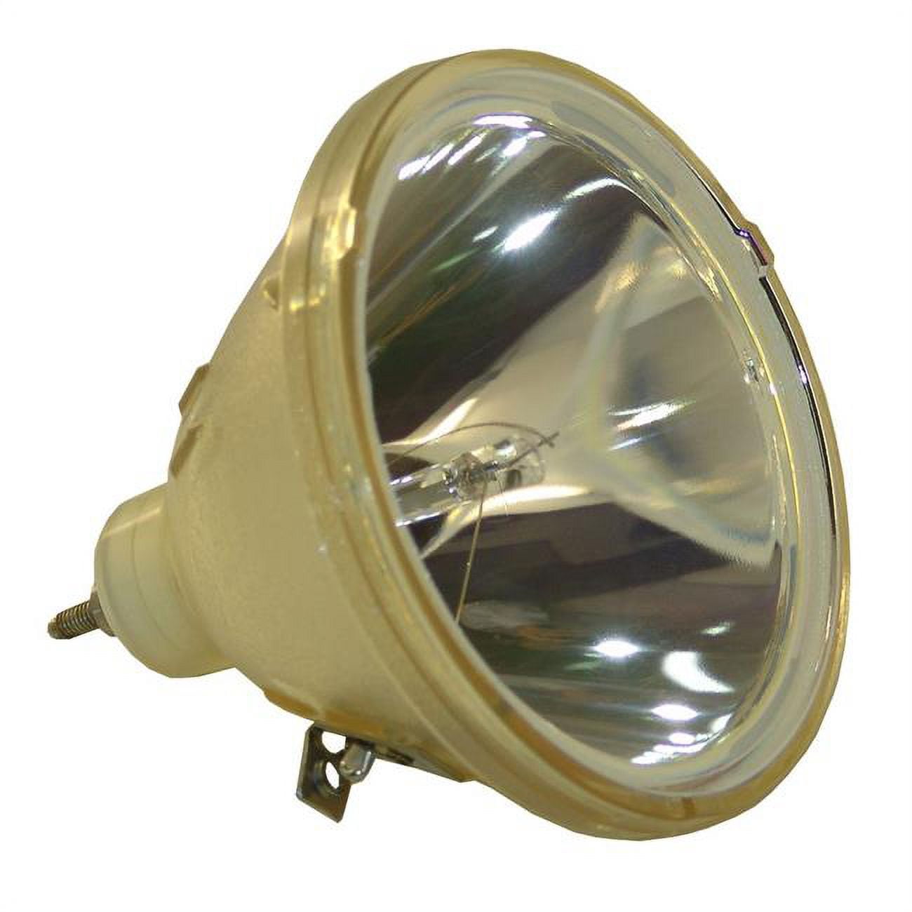 Dynamic Lamps 50412-BOP