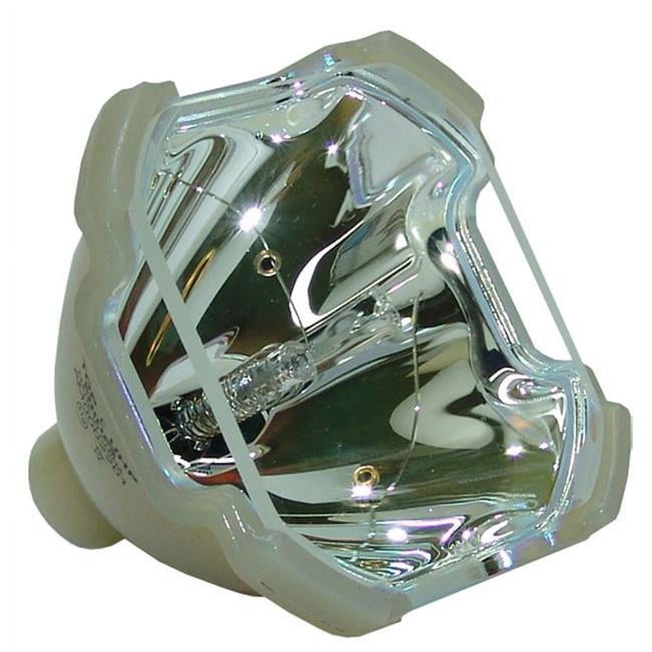 DYNAMIC LAMPS
