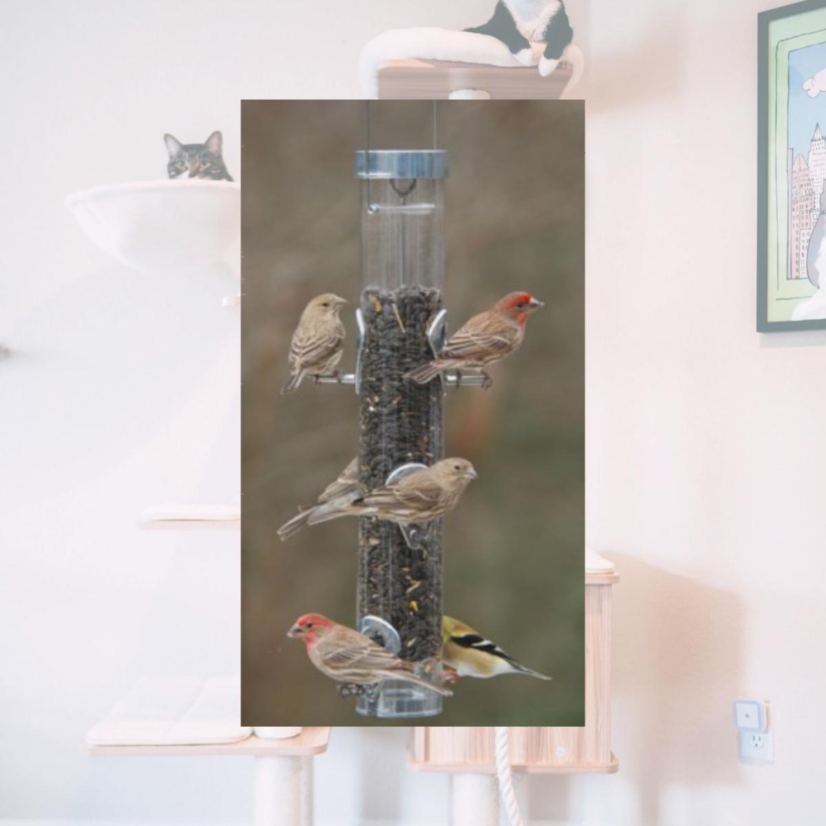 Picture of Droll Yankees Inc A-6RP Ring Pull Feeder Classic Ring Pull Sunflower-Mixed Seed Feeder