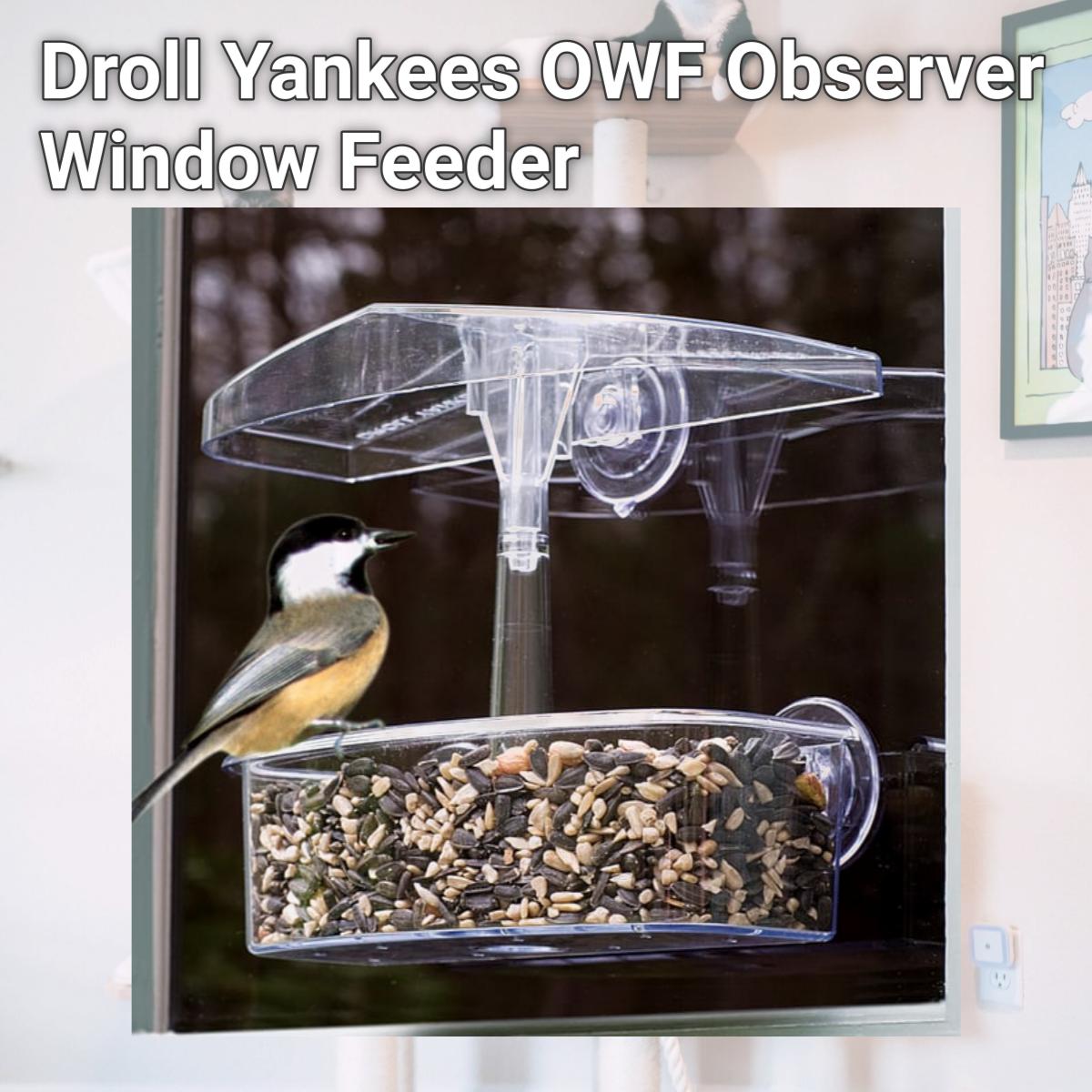 Picture of Droll Yankees OWF Observer Window Feeder