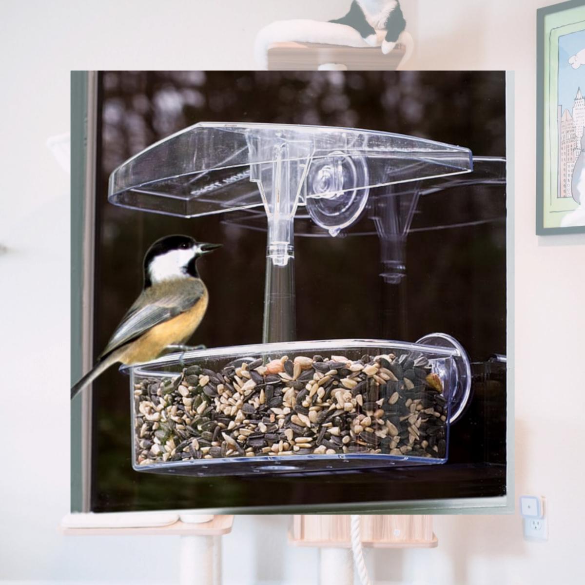 Picture of Droll Yankees OWF Observer Window Feeder