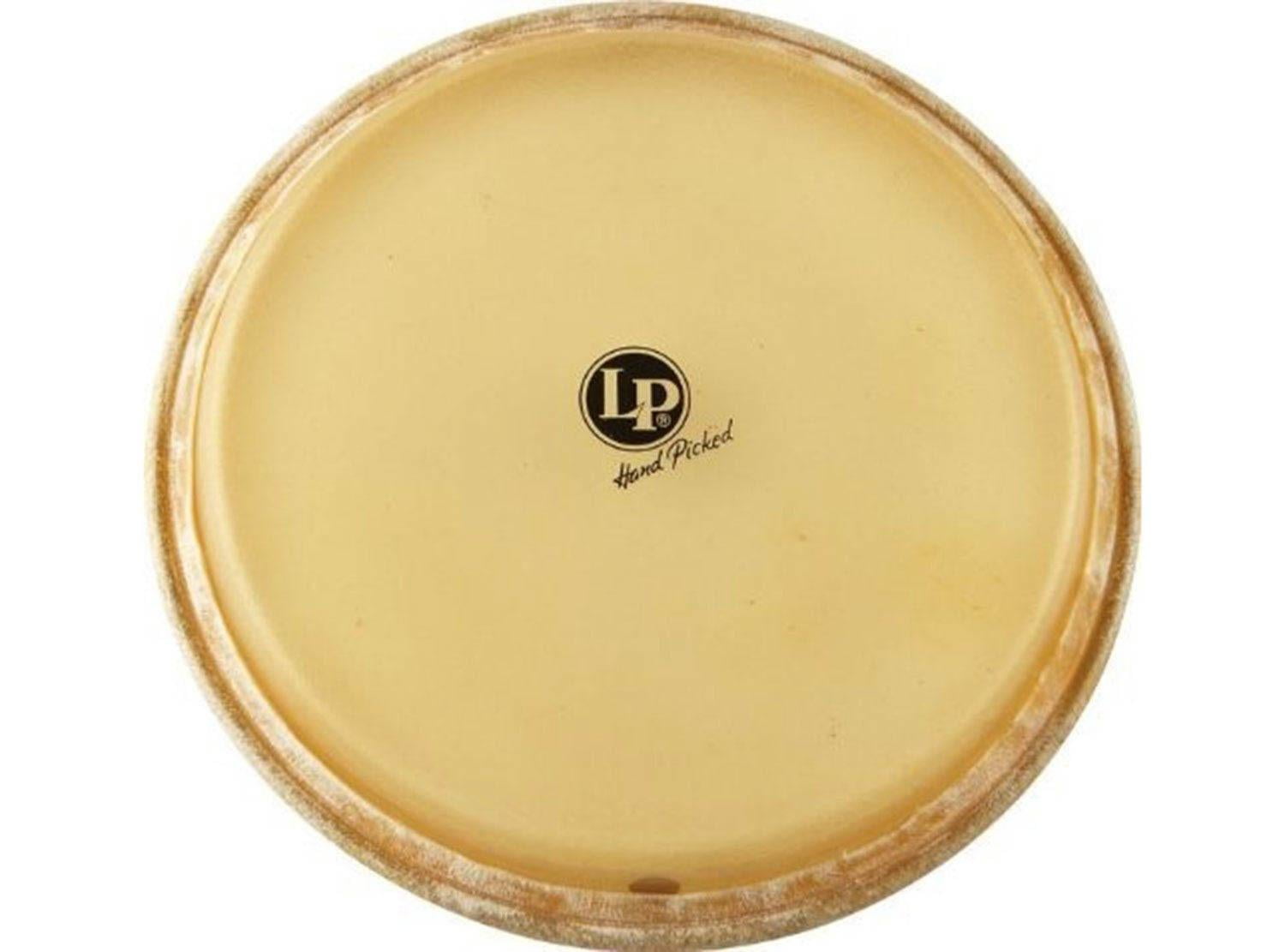 11 in. Mounted Quinto Head