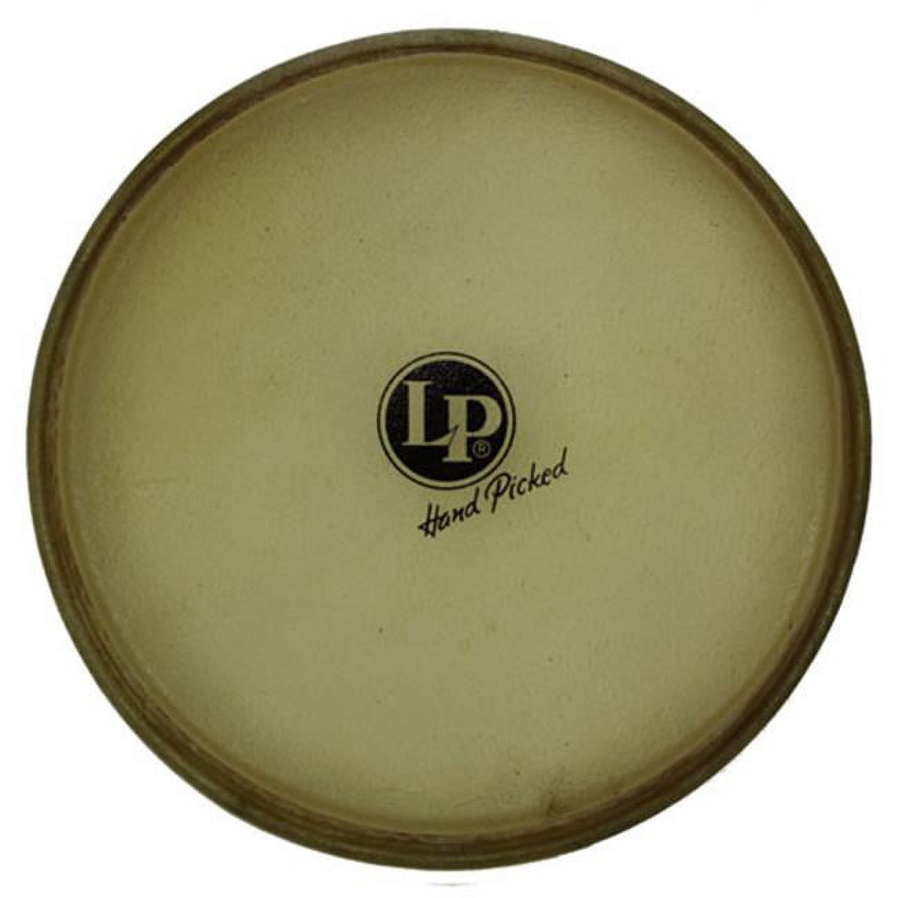 Latin Percussion LP803AE Evans Synthethic Head Requinto Z Series