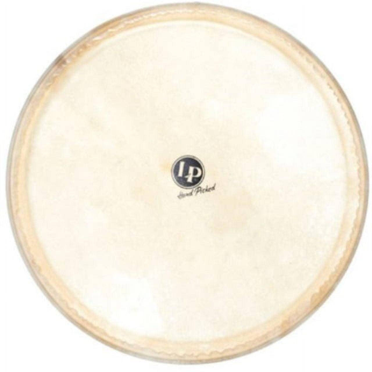 14 in. Galaxy Djembe Replacement Head