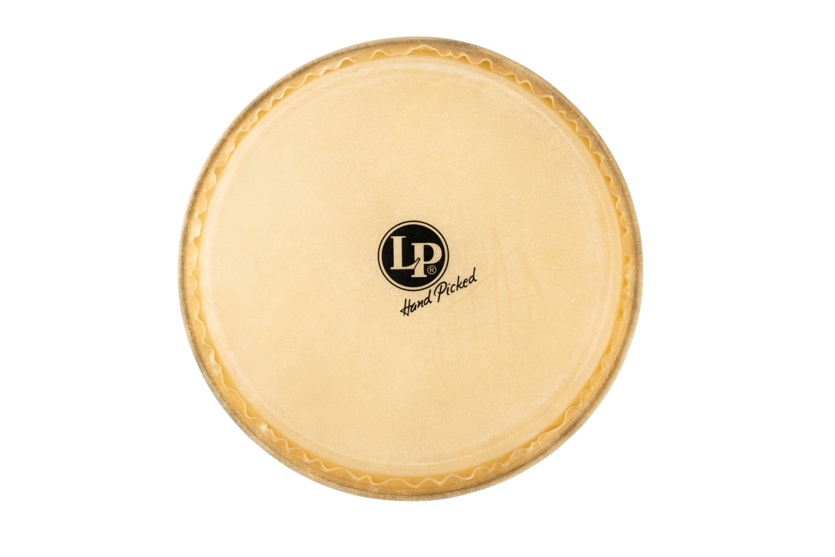 Latin Percussion LP284A 14 in. Head for Barril De Bomba