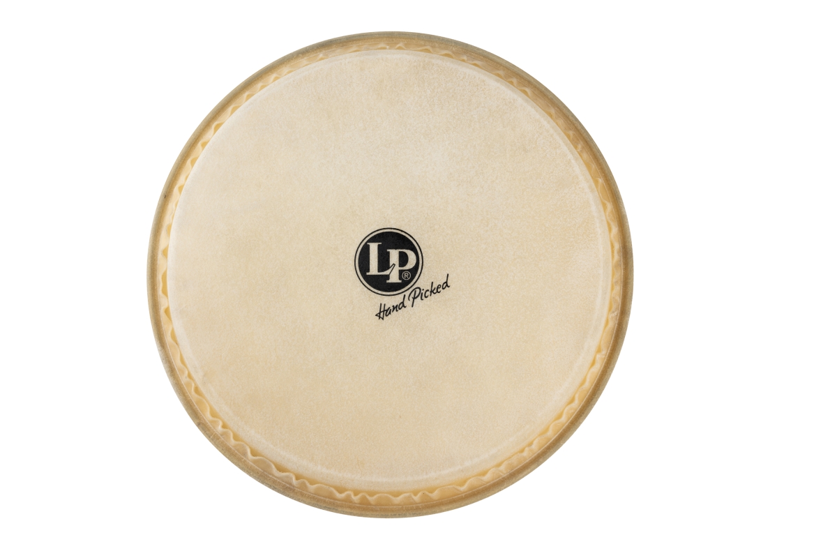 Latin Percussion LP284B 16 in. Head for Barril De Bomba