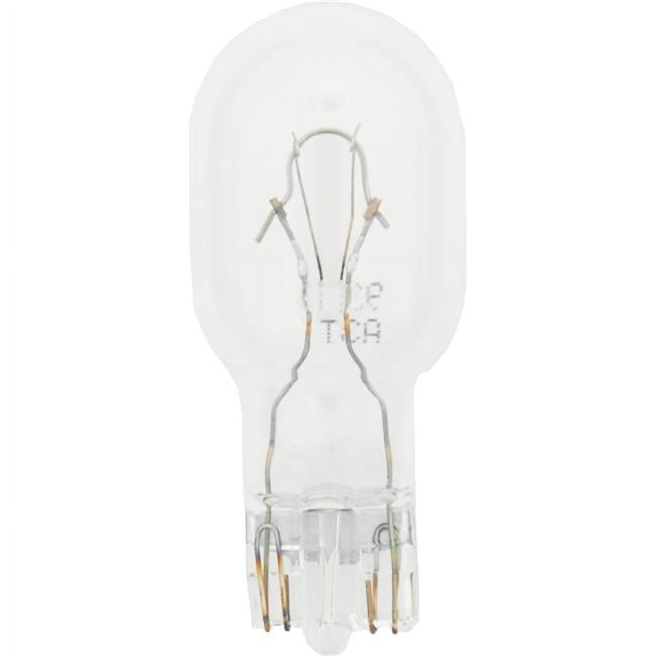906.TP 906 Basic Miniature Bulb - Pack of 10