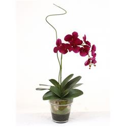 Picture of Distinctive Designs 17039B Waterlook Violet Phaleanopsis Orchid with Whip Grass in Glass Flower Pot Vase