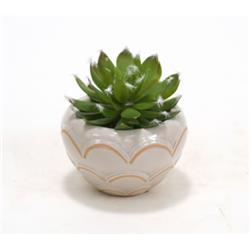 Hen & Chicken in Small Rounded Ivory Bowl - Pack of 3