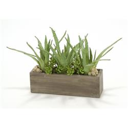 Aloe & Succulents in Rectangular Concrete Box
