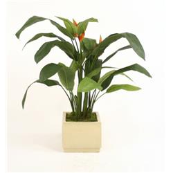 Picture of Distinctive Designs 2813A Heliconia Leaf Floor Plant in Square Ivory-Glazed Stoneware