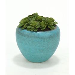 Hen N Chicken in Turquiose Pot - Pack of 2