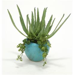 Aloe & Hanging Succulents in Turquoise Planter - Pack of 2