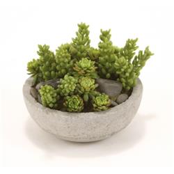 Distinctive Designs DDA-107 Mixed Succulents & Stones in Concrete-Lite Bowl - Pack of 4