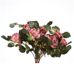 Large Rose X 12 Bush, Mauve - Pack of 4