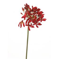 Picture of Distinctive Designs DI-628-RD 33 in. Agapanthus Stem&#44; Red - Pack of 12