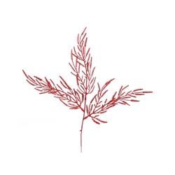 Picture of Distinctive Designs XS-108-RD Red Glittered X 3 Cypress Spray - Pack of 144