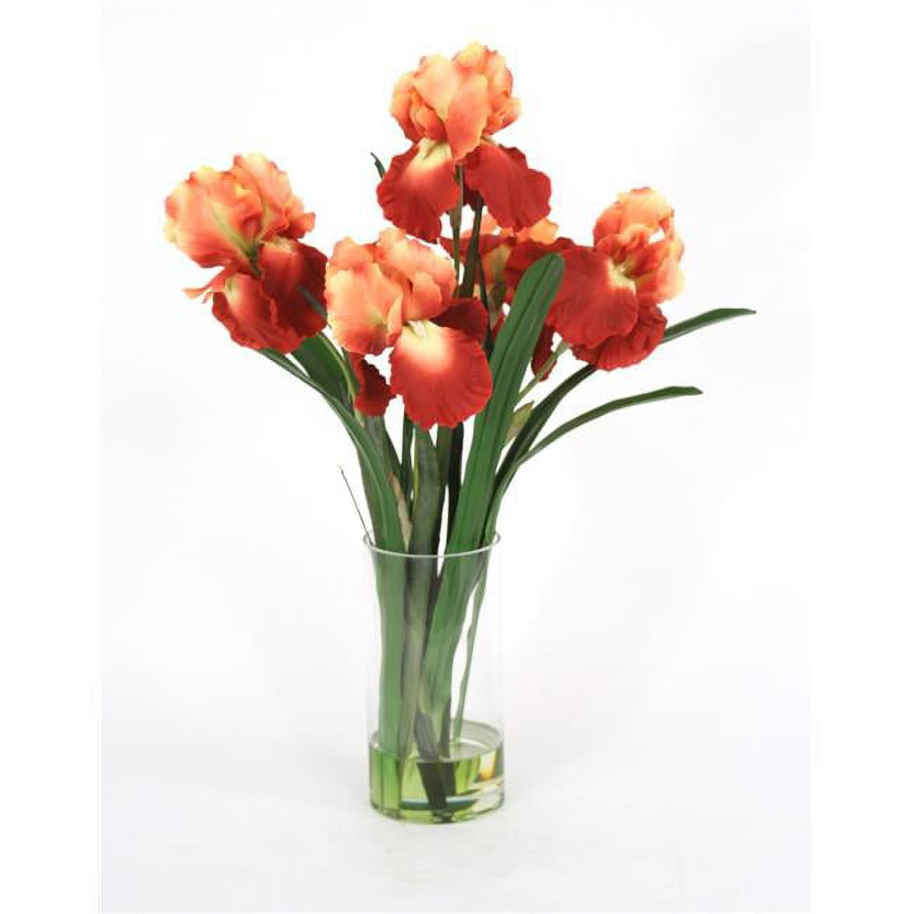 Waterlook R Rust Gold Iris with Blades in Glass Cylinder, Orange