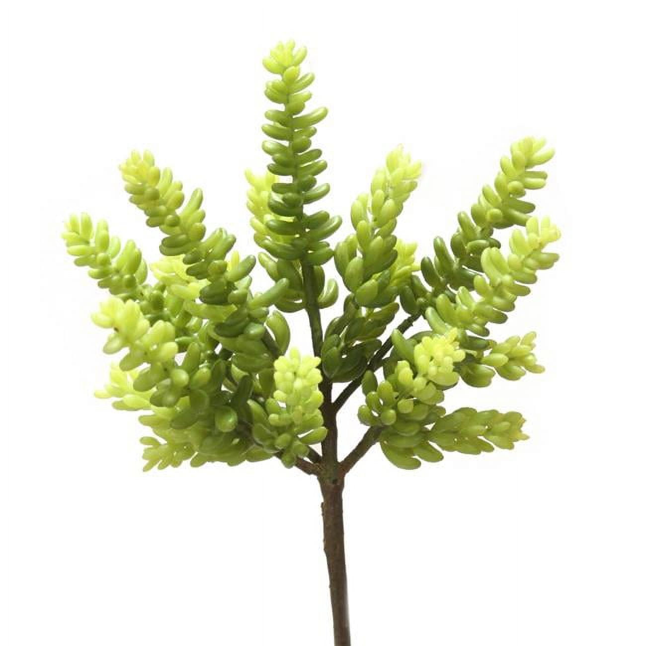 8' Succulent (Green)