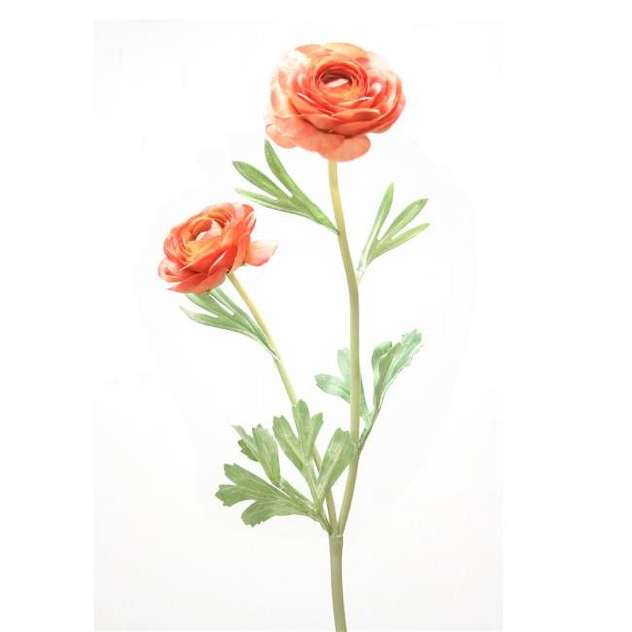 Picture of Distinctive Designs DI-790-CO 18.5&apos; Ranunculus Stem x 2 - Coral