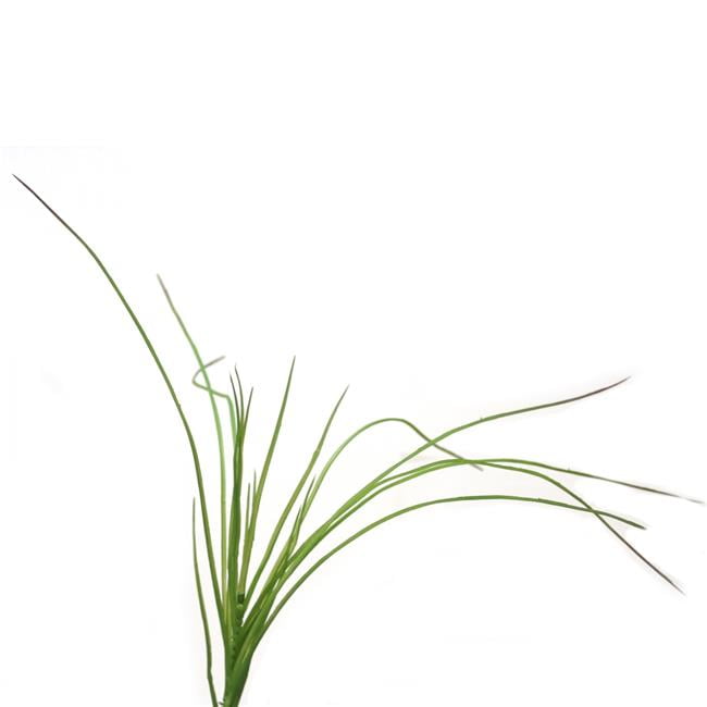 Picture of Distinctive Designs DG-109-GR 18&apos; Plastic Grass Pick